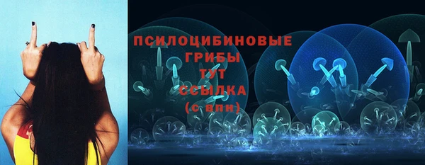 гидропоника Володарск