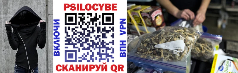 Псилоцибиновые грибы прущие грибы  купить наркотики сайты  Инта 